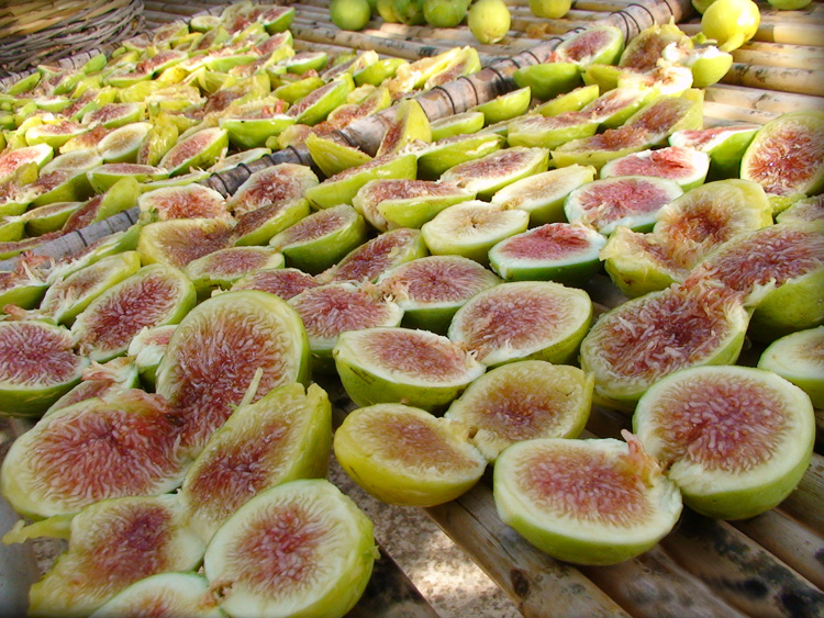 Coloribo: Un nuovo modo di mangiare a colori rispettando la Dieta Mediterranea