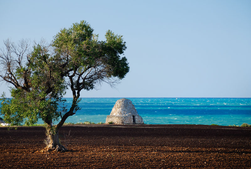 Apulian Private-chef Bice Perrini