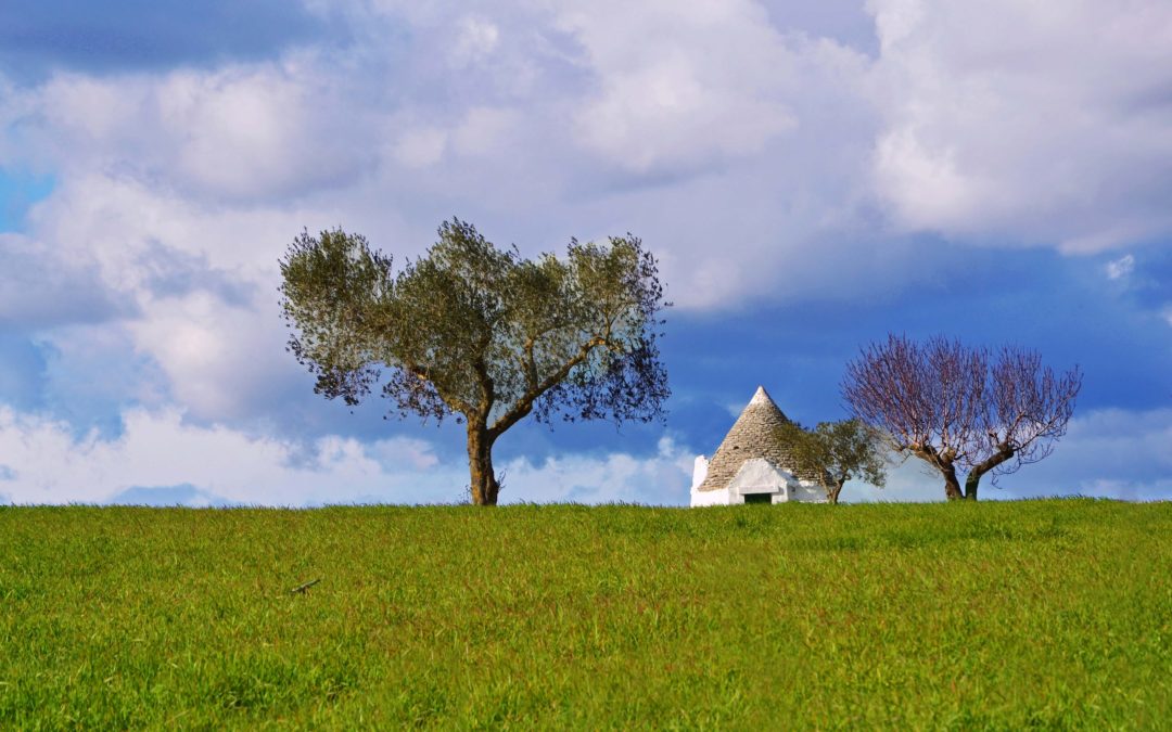 Tra consapevolezza Colori e cibo nei trulli della Valle d’Itria a Borgo del Mirto Selva di Fasano