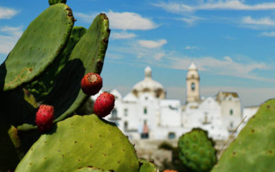 COLORIBO FESTIVAL in MASSERIA CAPECE Sunday 5 August 2018 in the HEART of VALLE D’ITRIA between FASANO and CISTERNINO