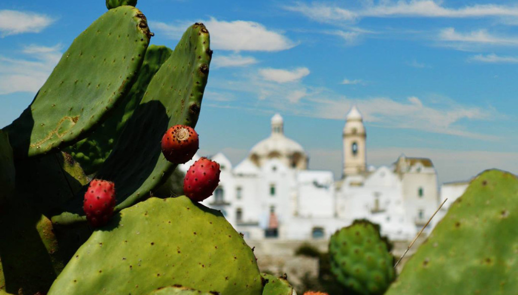 COLORIBO FESTIVAL in MASSERIA CAPECE Sunday 5 August 2018 in the HEART of VALLE D’ITRIA between FASANO and CISTERNINO